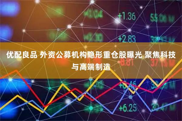 优配良品 外资公募机构隐形重仓股曝光 聚焦科技与高端制造