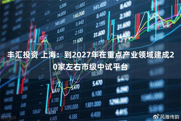 丰汇投资 上海：到2027年在重点产业领域建成20家左右市级中试平台