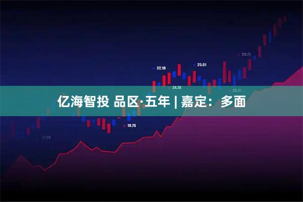 亿海智投 品区·五年 | 嘉定：多面