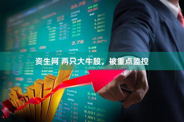 资生网 两只大牛股，被重点监控