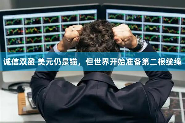 诚信双盈 美元仍是锚，但世界开始准备第二根缆绳