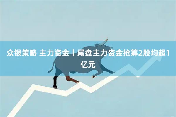 众银策略 主力资金丨尾盘主力资金抢筹2股均超1亿元